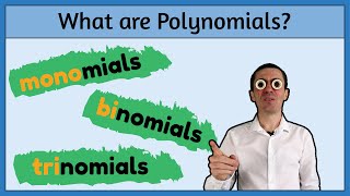 What Are Polynomials Monomials Binomials and Trinomials Explained [upl. by Sordnaxela]