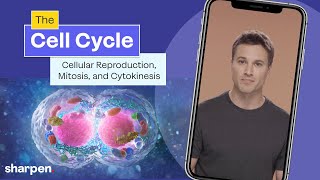 The Cell Cycle Cellular Reproduction Mitosis amp Cytokinesis Explained  Cell Biology [upl. by Cort78]