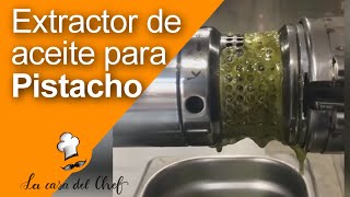 Extractor de Aceite de Pistacho Eficiencia y Calidad en Prensado en Frío [upl. by Leamiba13]