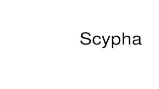 How to pronounce Scypha [upl. by Egarton]