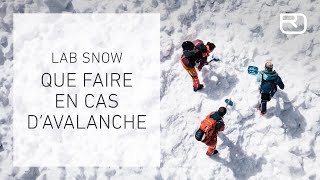 Sauvetage de victimes davalanche – Tutoriel 1317 Francais  LAB SNOW [upl. by Anehsat]