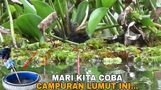 KUAT BANGET TARIKAN NYA  CAMPURAN LUMUT UNTUK MANCING NILA LIAR [upl. by Neda]