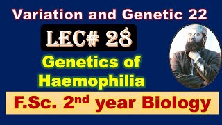 Biology chapter 22 Lecture No28 Genetics of haemophilia FSc 2nd Year [upl. by Gnuhn459]