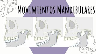 Movimientos mandibulares  Diagrama de Posselt [upl. by Htebaras84]