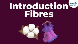 Fibres to Fabrics  Introduction  Types of Fibres  Dont Memorise [upl. by Nived]