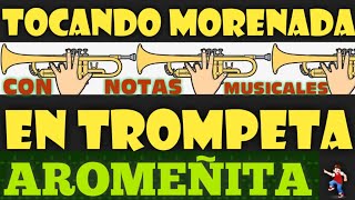 COMO TOCAR MORENADA AROMEÑITA EN TROMPETA amp BARITONOFACIL DE APRENDER CON NOTAS MUSICALES😀 [upl. by Marciano]