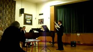 Tenor Horn Cadenza  Mozarts Horn Concerto No 4 Rondo [upl. by Nahtannoj]