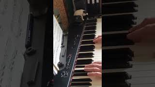 J S Bach Invention in B minor short [upl. by Nner]