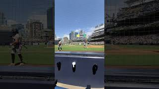 SD Padres game row 2 [upl. by Ggerg]