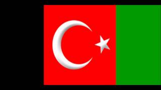 guney turkistan musicafghan uzbek [upl. by Neeham]