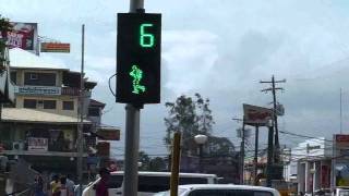 Animated Pedestrian Crossing Sign [upl. by Hgielar]