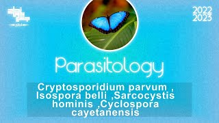 Cryptosporidium Isosporacyclosporaamp Sarcocystis  Parasitology [upl. by Annez]