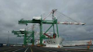 Container Crane discharged off a ship  4 hours in 25 seconds [upl. by Lakym473]