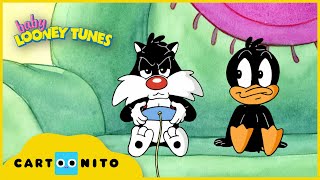 Baby Looney Tunes  Fairplay  Cartoonito UK [upl. by Alad]