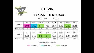 TV Lot 202 [upl. by Eelanna464]