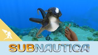 The 12 Survivors of Subnautica  Full Story Explained [upl. by Urion881]