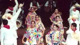 EL XOCHIPITZAHUATL TRIO ARMONIA HUASTECA [upl. by Keheley453]