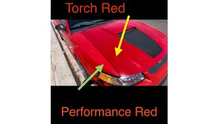 Performance red vs torch red difference ford mustang [upl. by Rip]