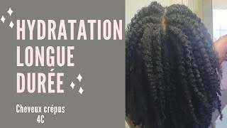 🇨🇮34• HYDRATATION LONGUE DURÉE  COMMENT cheveux crépus AFRO naturels souples et doux  Valèh Té [upl. by Lamson886]