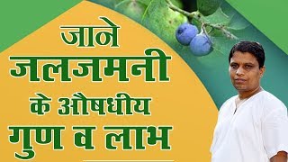 जाने जलजमनी Cocculus Hirsutus के औषधीय गुण व लाभ  Acharya Balkrishna [upl. by Solahcin]