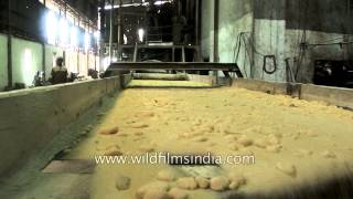 Sugar factory in India [upl. by Aseek]