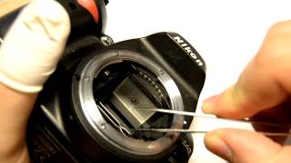 Changing focusing screen on Nikon D40 [upl. by Noivax]