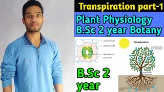 Transpiration in Plants  BSc 2 year Botany Plant physiology and Biochemistry [upl. by Quinta]