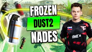 frozen Nades — Dust2 vs Pain — CS2 POV IEM RIO 2024 [upl. by Bein525]