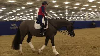 Valegro and Charlotte Dujardin Warming Up at Olympia [upl. by Hcelemile]