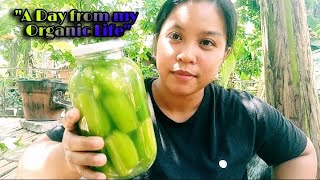 Pickled Bilimbi fruit  Cucumber tree locally known as Kamias [upl. by Navi]