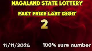 First Prize Last Digit 111124 Nagaland State Lottery Target Number Lottery Sambad Target Number [upl. by Heidy]