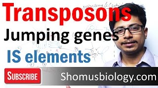 Transposable elements  transposons and is elements [upl. by Cristobal]