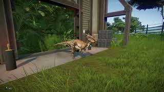 Jurassic World Evolution Dracorex Release [upl. by Leonora171]