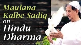 Maulana Kalbe Sadiq on Hindu Dharma at Art of Living Bangalore Ashram [upl. by Cirdor405]