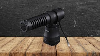 Canon Stereo Microphone Dme100 mic is worth or not [upl. by Arteid604]