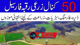 50 Kanal Agricultural Land For Sale  Zari Raqba  District Chakwal  Mirza Real Estateagriculture [upl. by Adur]