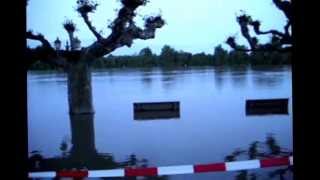 Flooding in Walluf amp Eltville am Rhein [upl. by Bunow]