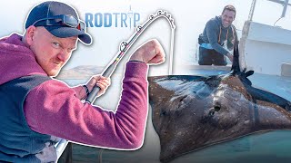 CATCHING SEA MONSTERS OFF THE UK COAST  RodTrip Ep3 🏴󠁧󠁢󠁳󠁣󠁴󠁿 [upl. by Elayne211]