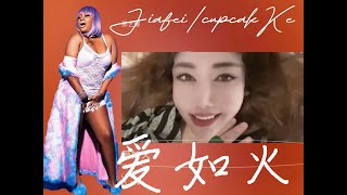 那艺娜Lady Nana爱如火Love is Fire JiafeicupcakKe Remix [upl. by Yhtimit]