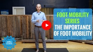 Foot Mobility Series  Why Foot Mobility Is So Important  The Source Sessions [upl. by Adnohrahs]