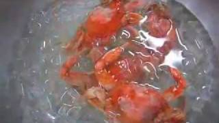 How to Boil Blue Crabs [upl. by Jen112]