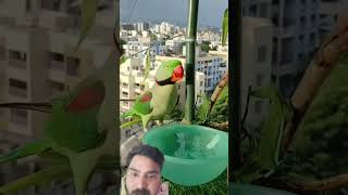 Birds ke liye Pani [upl. by Mccormac]