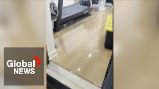 Toronto floods After water ran through basements owners ask who will cover the cost [upl. by Gerald825]