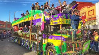 Traditional Cajun Country Mardi Gras Experience  Eunice and Mamou Louisiana [upl. by Aicener]