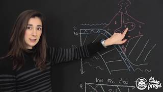 Analyse au MO de lames minces de roches  SVT  Les Bons Profs [upl. by Rafa]