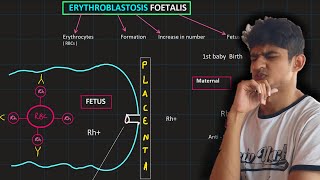 Multiple alleles  ABO  Erythroblastosis fetalis  MDCAT Biology [upl. by Schreibe]