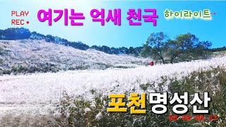 제27회 포천 명성산 억새꽃 축제산행초보도 걷기좋은길웅자와함께라면DOCSOLE [upl. by Dnomso]