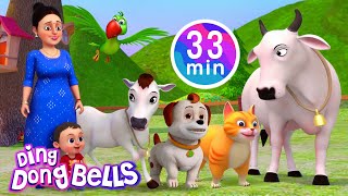 Meow Meow Billi Karti  More Hindi amp Nursery Rhymes For Kids  Ding Dong Bells [upl. by Launam]