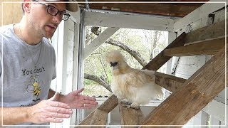 The Chicken Roost  Building Chicken Coop from Dog Kennel [upl. by Gibbeon]