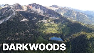 Darkwoods  Where Nature Survives  Free Documentary [upl. by Jacobsohn]